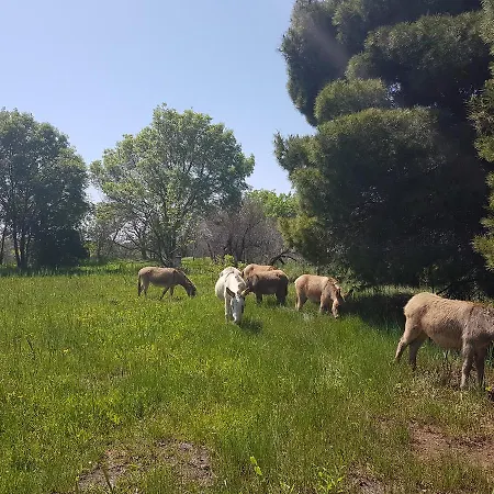 Campeggio Analaya Vias